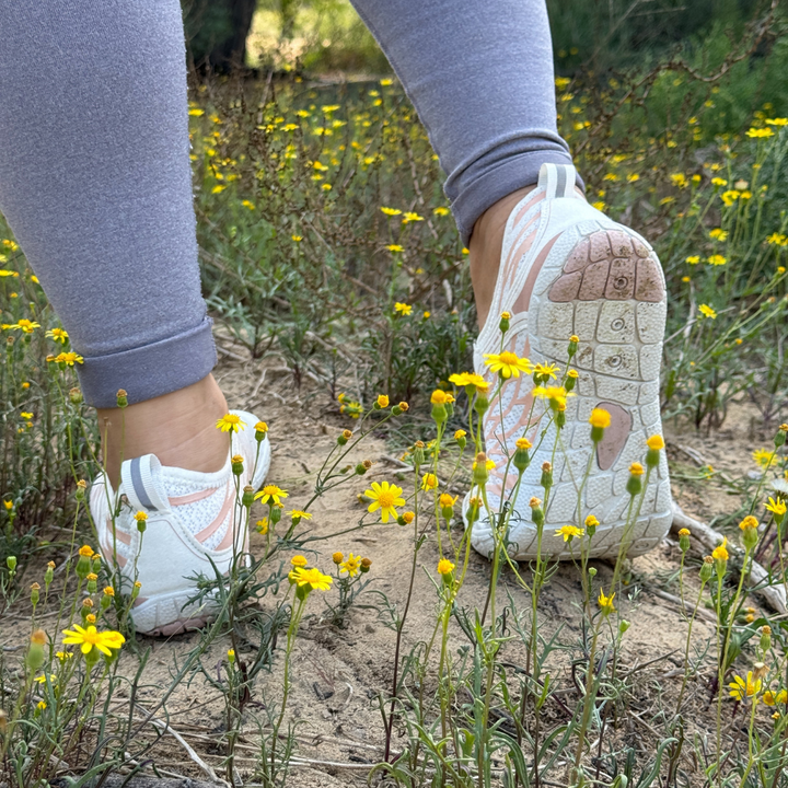 cid:40611315712100